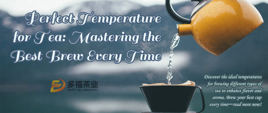 Perfect Temperature for Tea: Mastering the Best Brew Every Time