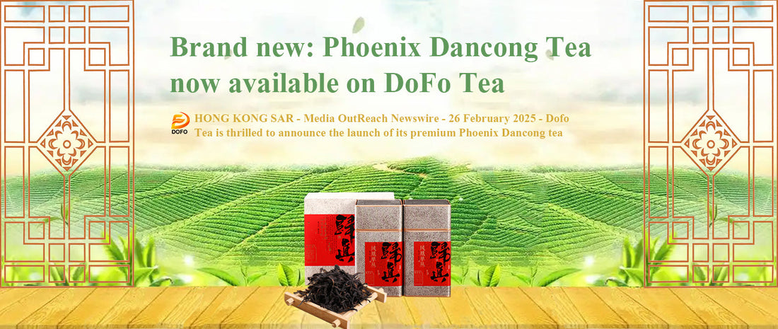 Phoenix Dancong Tea now available on DoFo Tea