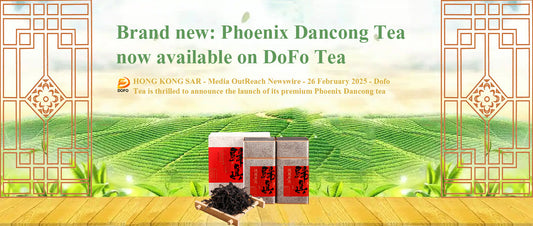Phoenix Dancong Tea now available on DoFo Tea