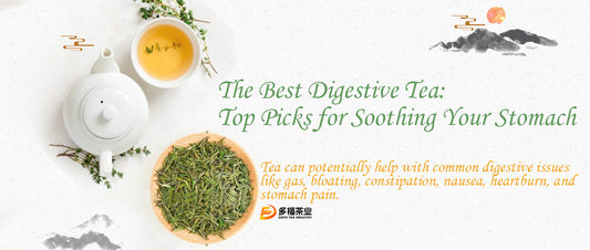 The Best Digestive Tea: Top Picks for Soothing Your Stomach