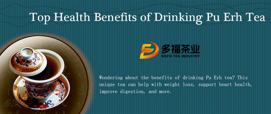 Top Health Benefits of Drinking Pu Erh Tea
