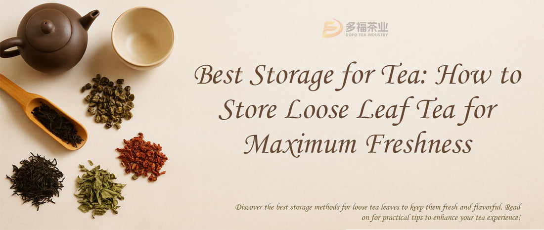 Best Storage for Tea: How to Store Loose Leaf Tea for Maximum Freshness
