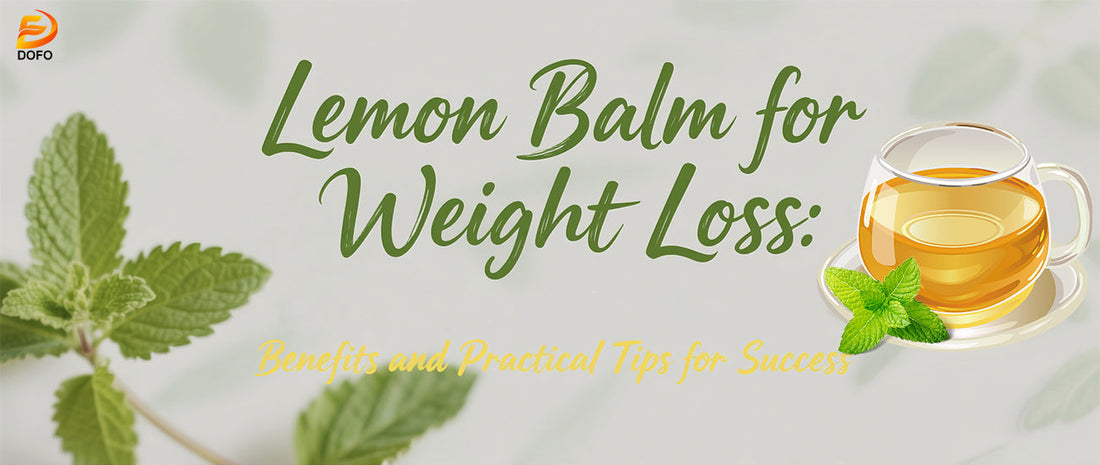 Lemon Balm Tea for Weight Loss : Benefits and How to Use It