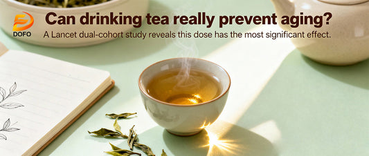 Can drinking tea really prevent aging? A Lancet dual-cohort study reveals this dose has the most significant effect.
