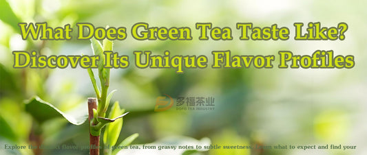 Green Tea Flavour: What Does Green Tea Taste Like? How to Taste the Best Chinese Green Tea?