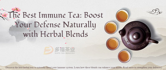 Immune Tea Tips for Boosting Immunity: A Roundup of the Best Teas for Immune Support