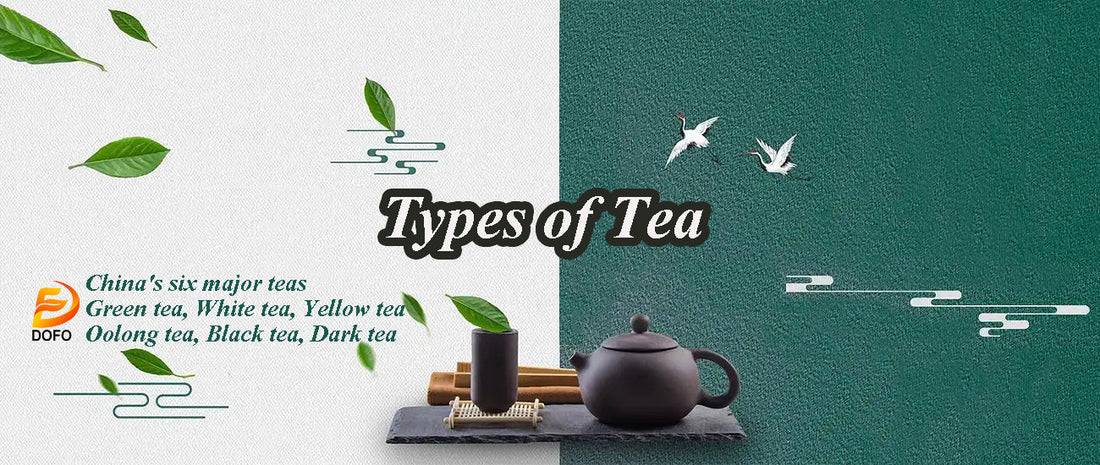 What types of tea are there?