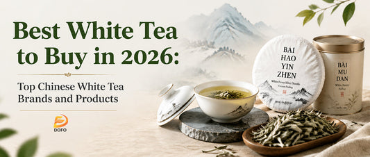 Best White Tea to Buy in 2026: Top Chinese White Tea Brands and Products