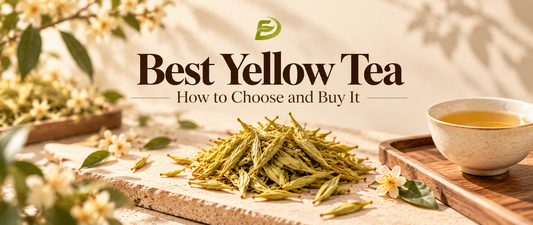 Best Yellow Tea: How to Choose and Buy It