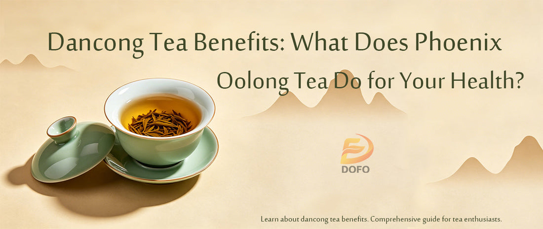 Dancong Tea Benefits: What Does Phoenix Oolong Tea Do for Your Health?
