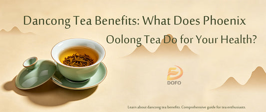 Dancong Tea Benefits: What Does Phoenix Oolong Tea Do for Your Health?