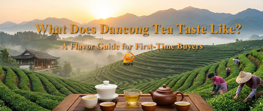 What Does Dancong Tea Taste Like? A Flavor Guide for First-Time Buyers