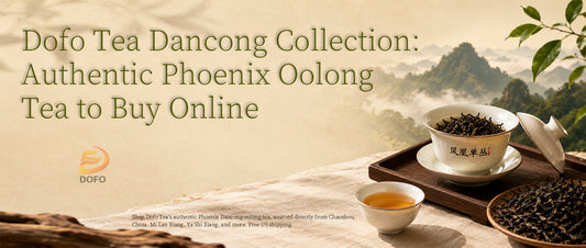 Dofo Tea Dancong Collection: Authentic Phoenix Oolong Tea to Buy Online 
