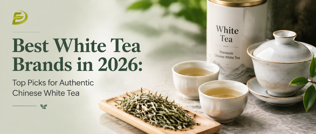 Best White Tea Brands in 2026: Top Picks for Authentic Chinese White Tea