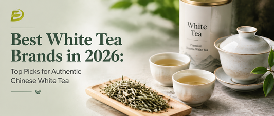 Best White Tea Brands in 2026: Top Picks for Authentic Chinese White Tea