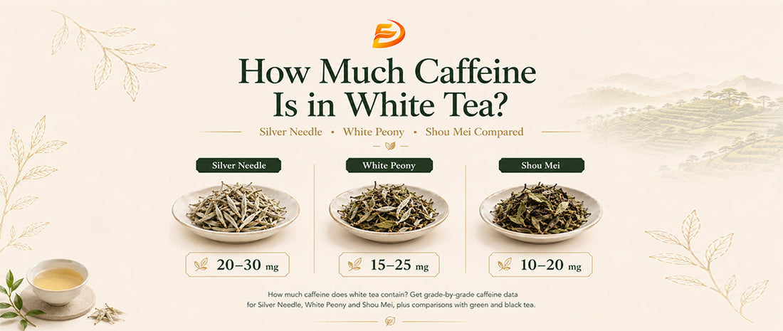 How Much Caffeine Is in White Tea? Silver Needle, White Peony and Shou Mei Compared