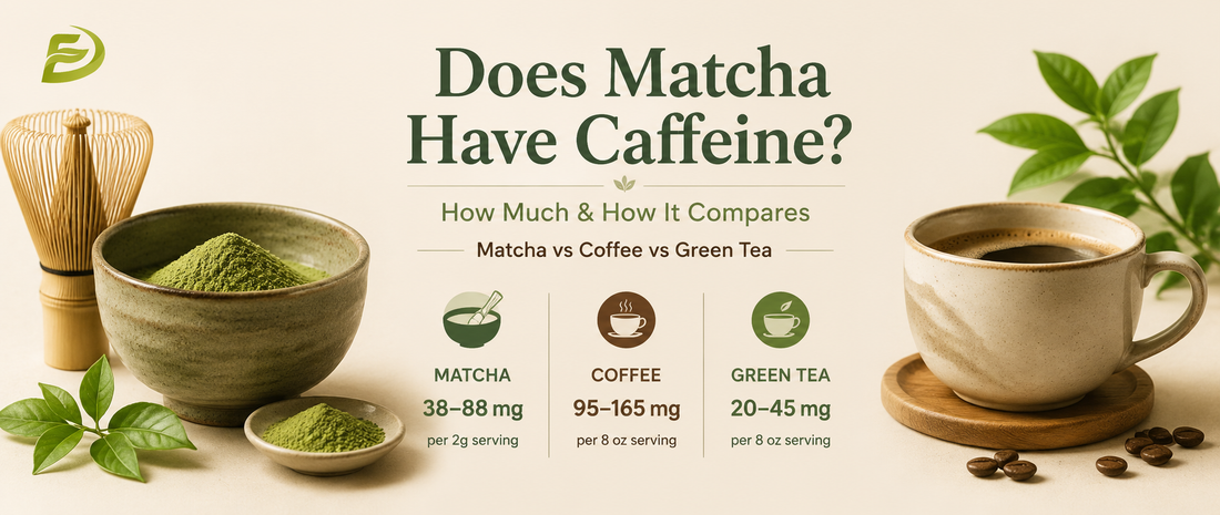 Does Matcha Have Caffeine? How Much & How It Compares 