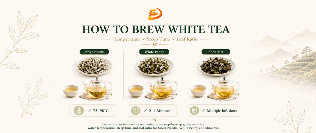How to Brew White Tea: Water Temperature, Steep Time and Ratio for Every Grade
