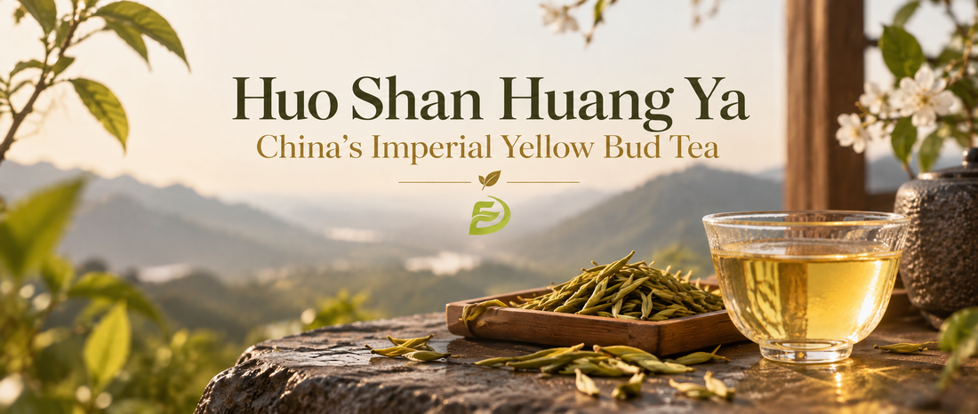 Huo Shan Huang Ya: China's Imperial Yellow Bud Tea