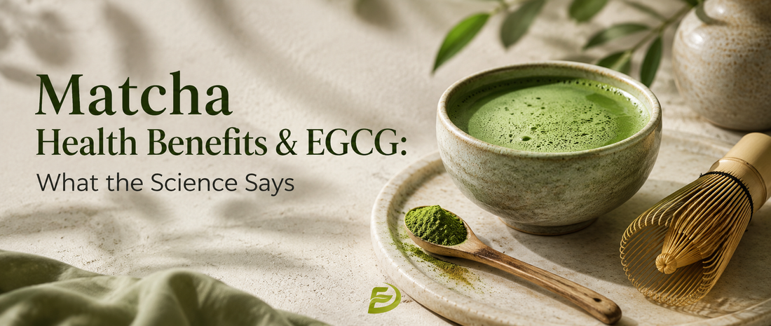 Matcha Health Benefits & EGCG: What the Science Says