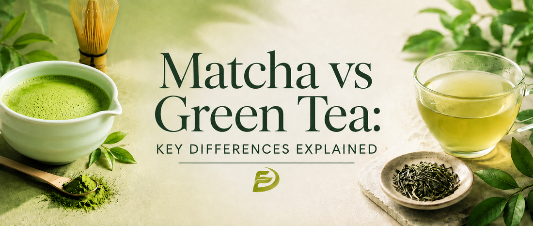 Matcha vs Green Tea: Key Differences Explained