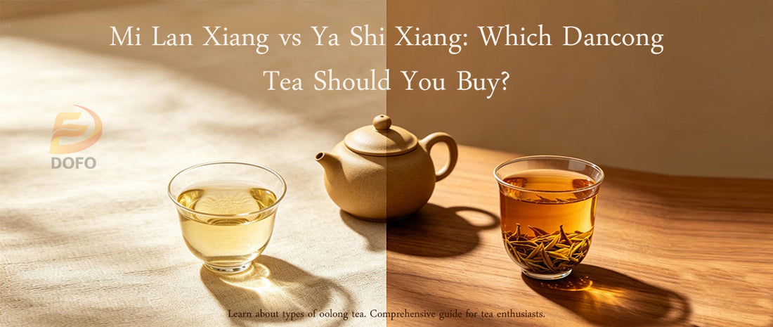 Mi Lan Xiang vs Ya Shi Xiang: Which Dancong Tea Should You Buy?