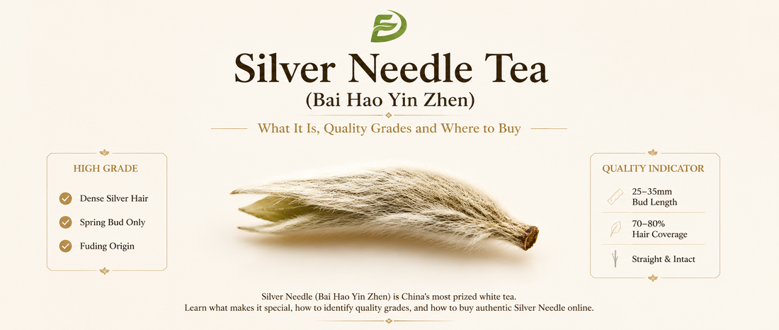 Silver Needle Tea (Bai Hao Yin Zhen): What It Is, Quality Grades and Where to Buy