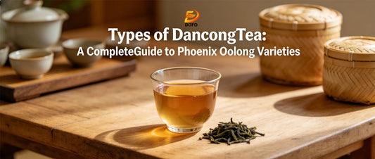 Types of DancongTea: A CompleteGuide to Phoenix Oolong Varieties