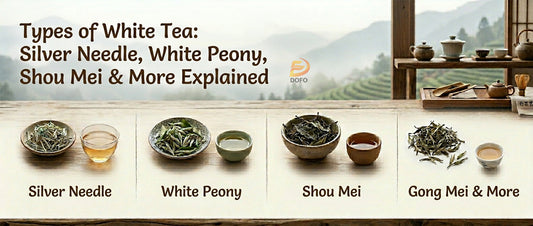 Types of White Tea: Silver Needle, White Peony, Shou Mei and More Explained