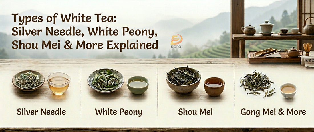 Types of White Tea: Silver Needle, White Peony, Shou Mei and More Explained