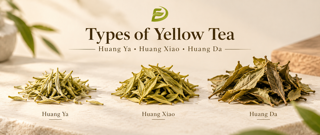 Types of Yellow Tea: Huang Ya, Huang Xiao & Huang Da
