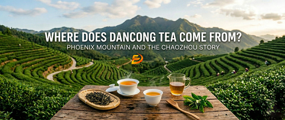 Where Does Dancong Tea Come From? Phoenix Mountain Origin Guide