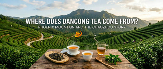 Where Does Dancong Tea Come From? Phoenix Mountain Origin Guide
