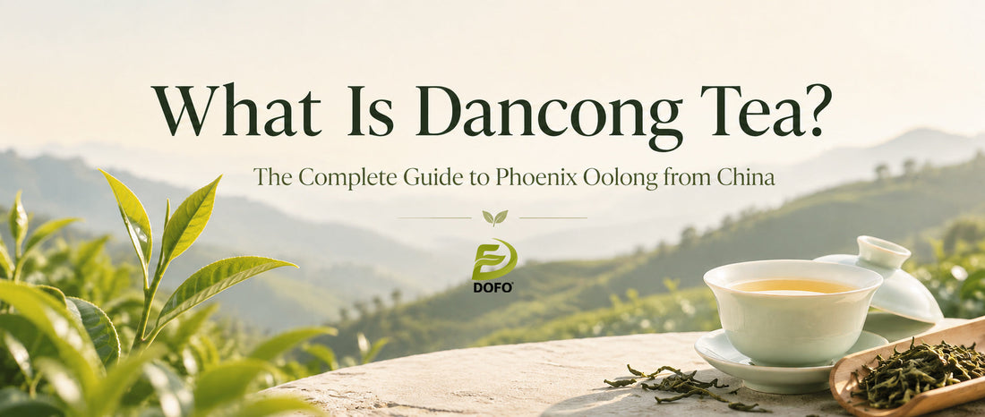 What Is Dancong Tea? The Complete Guide to Phoenix Oolong from China