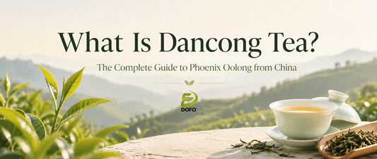 What Is Dancong Tea? The Complete Guide to Phoenix Oolong from China
