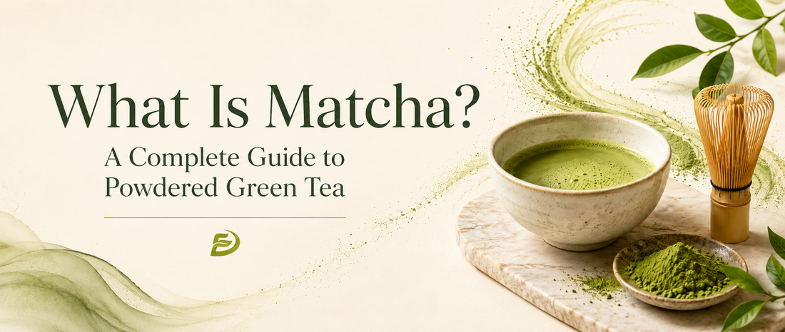What Is Matcha? A Complete Guide to Powdered Green Tea