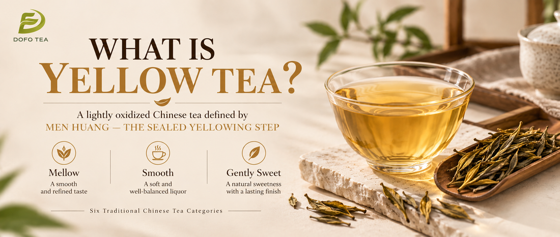 What Is Yellow Tea? China’s Rarest Tea, Explained