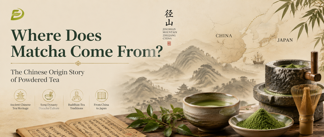 Where Does Matcha Come From? The Chinese Origin Story