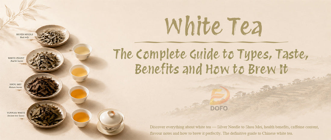 White Tea: The Complete Guide to Types, Taste, Benefits and How to Brew It