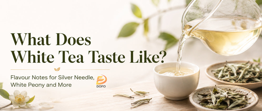 What Does White Tea Taste Like? Flavour Notes for Silver Needle, White Peony and More