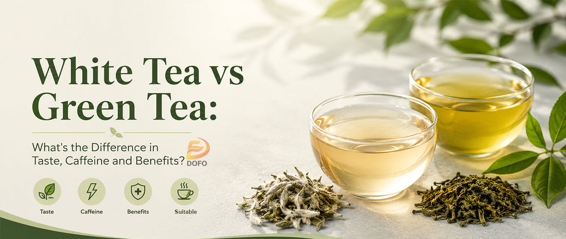 White Tea vs Green Tea: What's the Difference in Taste, Caffeine and Benefits?