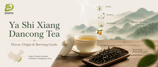 Ya Shi Xiang Dancong Tea: Flavor, Origin and Brewing Guide