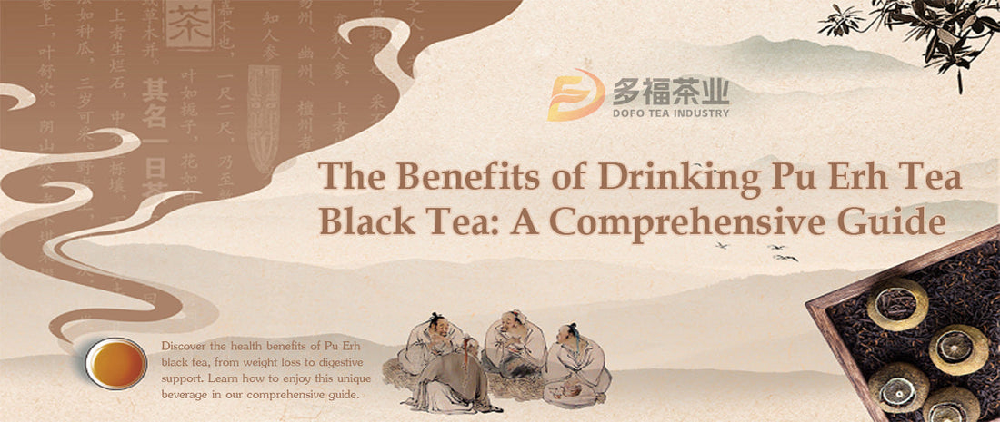 Pu Erh Tea Black Tea: Exploring the Secrets and Comparisons of Pu'er Tea and Black Tea