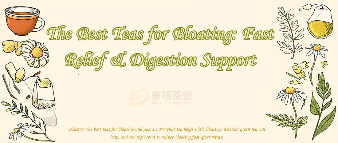 The Best Teas for Bloating: Fast Relief &amp; Digestion Support