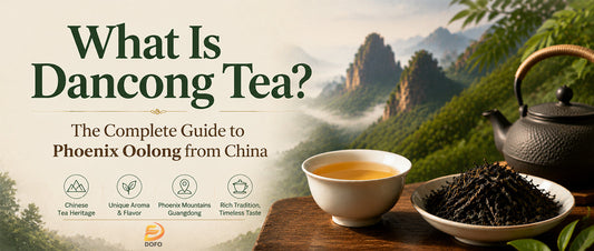 What Is Dancong Tea? The Complete Guide to Phoenix Oolong from China