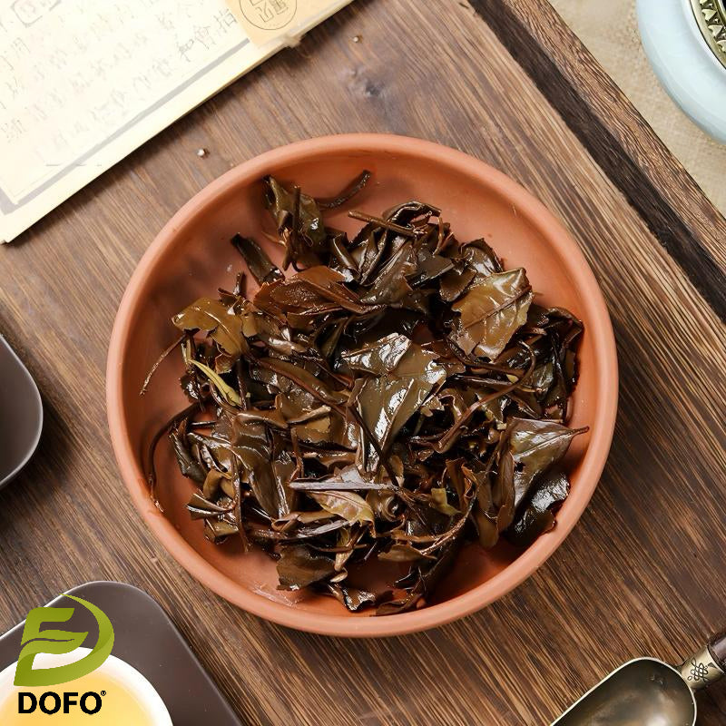 Aged_Fuding_White_Tea36