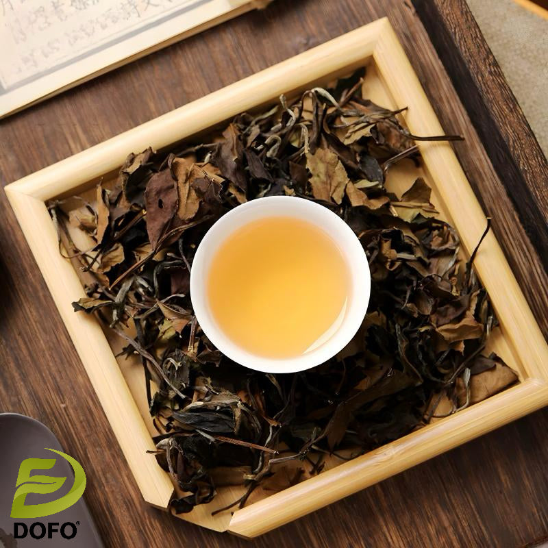 Aged Fuding White Tea4