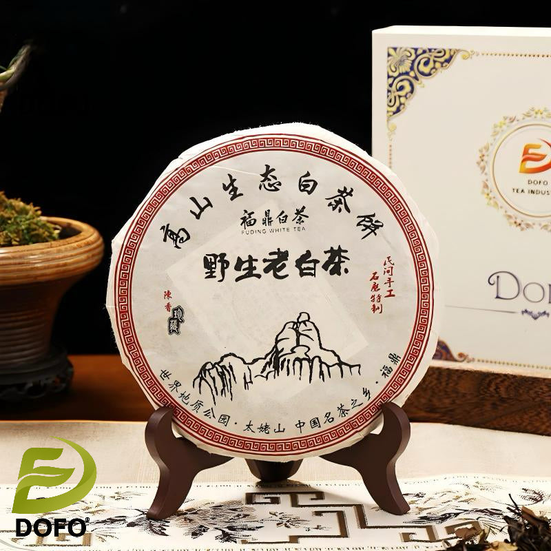 Aged Fuding White Tea Cake