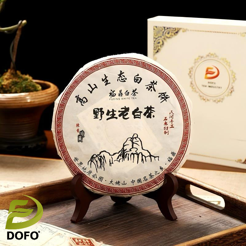 Aged Fuding White Tea Cake4