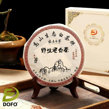 Aged Fuding White Tea Cake4